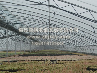 多肉3代棚