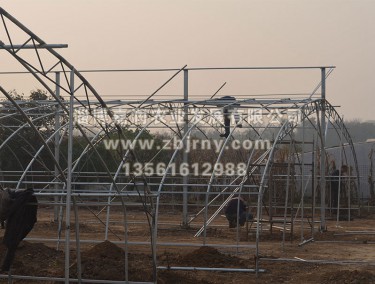 多肉植物在建骨架